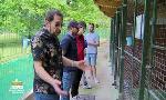 Revoir Animaux à adopter du 17 Aout