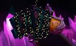 Revoir Ninjago du 18 Aout