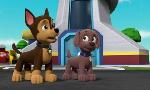 Revoir Paw patrol, la pat'patrouille du 21 Aout