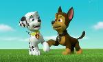 Revoir Paw patrol, la pat'patrouille du 23 Aout