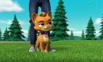 Revoir Paw patrol, la pat'patrouille du 24 Aout