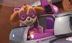 Revoir Paw patrol, la pat'patrouille du 26 Aout