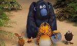 Revoir Les as de la jungle à la rescousse du 26 Aout