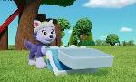 Revoir Paw patrol, la pat'patrouille du 06 Septembre