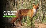 Revoir Les animaux en danger d'australie du 07 Septembre