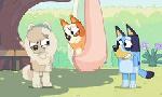 Revoir Bluey du 08 Septembre