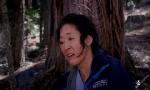 Revoir Grey's anatomy du 08 Septembre