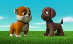 Revoir Paw patrol, la pat'patrouille du 10 Septembre