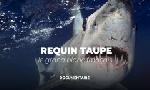 Revoir La france en vrai du 12 Septembre