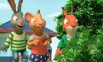 Revoir Pip et posy du 13 Septembre