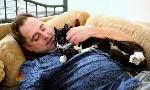 Revoir Hell's cat : mon chat est un cauchemar du 14 Septembre