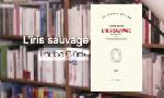 Revoir La p'tite librairie du 17 Septembre