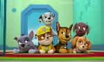 Revoir Paw patrol, la pat'patrouille du 19 Septembre