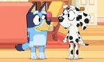 Revoir Bluey du 27 Septembre