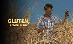 Revoir Gluten, ennemi public du 29 Septembre