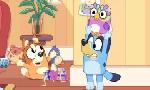 Revoir Bluey du 30 Septembre