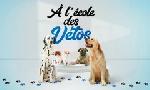 Revoir A l'école des vétos du 30 Septembre