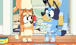 Revoir Bluey du 06 Octobre
