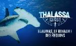 Revoir Thalassa, aventures extrêmes du 06 Octobre