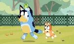Revoir Bluey du 08 Octobre