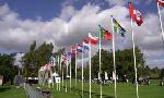 Revoir Chipping balles hautes, balles basses : du 08 Octobre