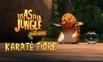 Revoir Les as de la jungle à la rescousse du 09 Octobre