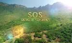 Revoir Sos animaux orphelins du 09 Octobre