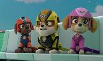 Revoir Paw patrol, la pat'patrouille du 14 Octobre