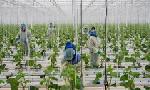 Revoir La face cachée de l'industrie alimentaire du 13 Octobre