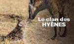Revoir Les hyènes, au-delà des préjugés du 11 Octobre