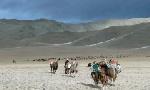 Revoir Mongolie, une épopée nomade du 15 Octobre