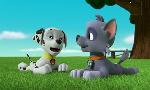 Revoir Paw patrol, la pat'patrouille du 16 Octobre