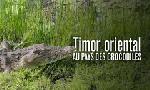 Revoir Timor oriental, au pays des crocodiles du 16 Octobre