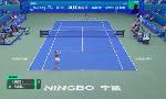Revoir Paolini renverse bencic et se hisse en demi-finale du 17 Octobre