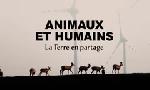 Revoir Animaux et humains, la terre en partage du 18 Octobre