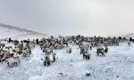 Revoir Mongolie, une épopée nomade du 18 Octobre