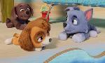 Revoir Paw patrol, la pat'patrouille du 19 Octobre