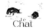 Revoir Le chat du 20 Octobre