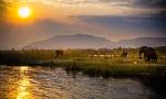 Revoir Earth's great rivers du 20 Octobre