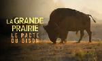 Revoir La grande prairie, le pacte du bison du 20 Octobre
