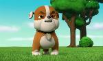 Revoir Paw patrol, la pat'patrouille du 22 Octobre
