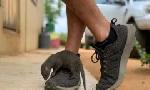 Revoir Sos animaux orphelins du 22 Octobre