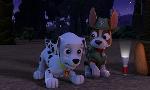 Revoir Paw patrol, la pat'patrouille du 23 Octobre