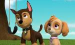 Revoir Paw patrol, la pat'patrouille du 23 Octobre