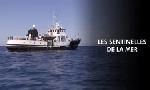 Revoir Les sentinelles de la mer du 23 Octobre