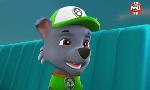 Revoir Paw patrol, la pat'patrouille du 24 Octobre