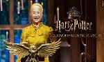 Revoir Harry potter : le tournoi des quatre maisons du 24 Octobre