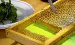 Revoir Les maîtres des abeilles du 25 Octobre