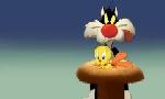 Revoir Looney tunes cartoons du 25 Octobre