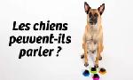Revoir Les chiens peuvent-ils parler ? du 25 Octobre